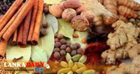 එක්සත් ජාතීන්ගේ සහයෙන් අපේ කුළුබඩු ජාත්‍යන්තරයට