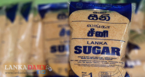 සෙවනගල සීනි, ඉතිහාසයේ ඉහළම ලාබය ලබයි