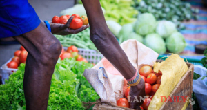 එළවලු වෙළෙන්දන්ට රජයෙන් සහනයක්