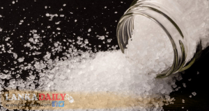 පිට රටින් ලුණු ගේන්නත් කැබිනට් තීරණයක්   