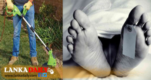 තණකොළ කපන මැෂිම නිසා පුද්ගලයෙකුට දිවි අහිමි වෙයි