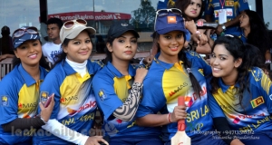 Dialog Starfriends Cricket