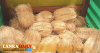 පොල් ආනයනය කරන්න බැහැ - වැවිලි ඇමති කියයි