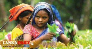 වතු සේවක වැටුප රුපියල් 1000 ගෙවීම අප්‍රේල් සිට ක්‍රියාත්මක විය යුතුයි - රමේෂ් පතිරණ