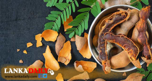 සියඹලා කිලෝවක තොග මිල රුපියල් 1000 කට නගී
