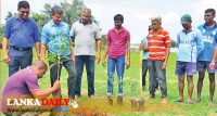 රක්ෂිත අත්පත් කර ගැනීම නවත්වන්න වන වගා ව්‍යාපෘතියක් !
