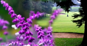 ‍‍‍‍‍‍‍‍‍‍‍‍‍‍‍‍‍‍‍‍‍‍‍‍‍‍‍‍‍‍‍‍‍‍‍‍‍‍‍‍‍‍‍‍‍‍‍‍‍‍‍‍‍‍‍‍‍‍‍‍‍‍‍‍‍‍‍‍‍‍‍‍‍‍‍‍‍‍‍‍‍‍‍‍‍‍‍‍‍‍‍‍‍‍‍‍‍‍‍‍‍‍‍සංචාරකයින්ට නුවරඑළියේ සංචාරයට අාරාධනා