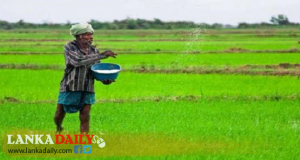 රැස් කර ගැනීමෙන් ඇතිවන අර්බුද !