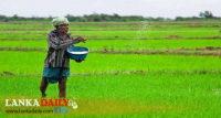 රැස් කර ගැනීමෙන් ඇතිවන අර්බුද !