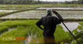ඉදිරි අයවැයෙන් ගොවීන්ට සහන !