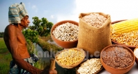 ගොවියා රජ කරවන යුගයක ආරම්භය 22 දා