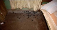 එජාප මන්ත්‍රීගේ නිවසට ප්‍රහාරයක්