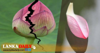 පොදු ජන පෙරමුණේ දෙදරීමක්