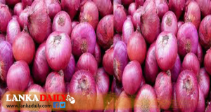 බදු වැඩි කිරීම නිසා ලොකු ළුණු කිලෝව අද සිට රුපියල් 600 ට