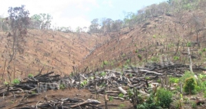 අපි සොබාදහමට අවනත නම් සොබාදහමත් අපට අවනතයි