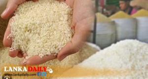 ලබන 21 වැනි දාට පෙර කීරි සම්බා මෙට්ට්‍රික් ටොන් 50,000 ක්