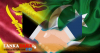 මානව හිමිකම් සැසියේදී ශ්‍රී ලංකාවට මුස්ලිම් රටවල සහාය ලබාදීමට පාකිස්තානය ඉදිරිපත්වේ.