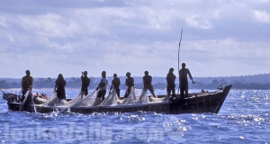 අපේ මුහුදේ මසුන් අල්ලන්න ඉන්දියාවට වසර 3කට අවසර