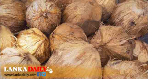 පොල් මිළ තවත් ඉහළට
