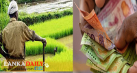 වැඩිකළ පොහොර සහනාධාරය ලබා දීම අදින් ඇරඹේ