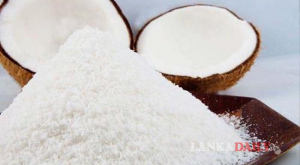 පොල් ආනයනය කිරීමට අනුමැතිය