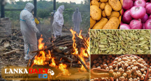 ඉන්දියාවේ කොවිඩ් මෙරට ආහාර වලට බලපාන ලකුණු !