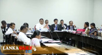 වල්ලපට්ට ශාකය කෘෂි භෝගයක් කිරීමට සැරසෙයි