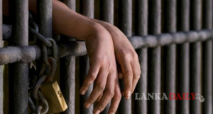 බීමතින් රිය පදවන්නන්ට වැඩ වරදී. 350ක් අත්අඩංගුවට !