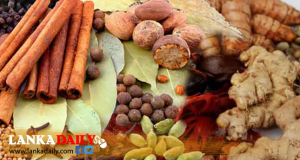 කුළුබඩු අපනයනය සදහා ප්‍රමිති සහතිකය අනිවාර්ය කෙරේ