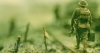 රණ විරුවා, රණ විරු ගාය සහ රණ විරු මාන්දම