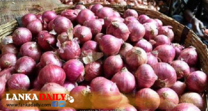 ආණ්ඩුව ලොකු ළුෑණු ආනයනික බද්ද වැඩි කිරීමෙන් ලොකු ළුෑණු මිළත් ඉහළට