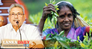 වතුකම්කරු දෛනික වැටුප රු. 1000 දක්වා වැඩි කරන්න - ජනපති