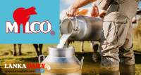 ලාභ ලබපු මිල්කෝ වත්මන් සභාපති නිසා පාඩු ලබයි