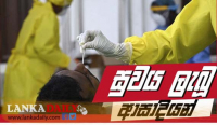 මෙරට සුවය ලැබූ ආසාදිතයින් ගණන ඉහළට !