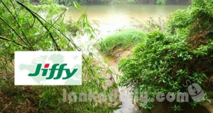 දැදුරු ඔය වනසන ජිෆී, කෘෂි ලේකම්වත් බිල්ලට අරගෙන,  ජනපති නියමයෙන් පරීක්ෂණයක් !