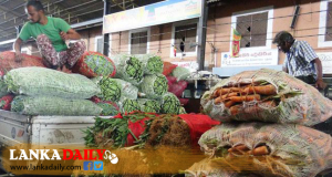 එළවළු මිලදී ගැනීම ප්‍රතික්ෂේපවීමත් සමඟ සීග්‍රයෙන් මිළ පහලට   