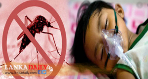 වසර 5කට පසු ඩෙංගු රෝගීන්ගේ වාර්තා පහළට   