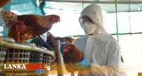 කුරුළු උණ ගැන දැනුවත් වෙමු
