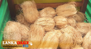 අද පොල් සහනය දෙහිවලට