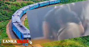 සුද්දන් දෙදෙනාට පහර දුන් දුම්රිය සේවකයින් දෙදෙනෙක්ගේ සේවය යළි පිහිටුවයි - විමර්ශන තව දුරටත්