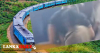 සුද්දන් දෙදෙනාට පහර දුන් දුම්රිය සේවකයින් දෙදෙනෙක්ගේ සේවය යළි පිහිටුවයි - විමර්ශන තව දුරටත්