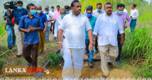 පවුල් 1200 ක් ආර්ථිකය ගොඩනඟන මිරිස් වගා ව්‍යාපෘතියක්!