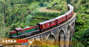 ‘අන්තර්ජාලයට දැමූ දුම්රිය ටිකට් සියල්ල තත්පර 42කින් විකිණිලා’ -ප්‍රවාහන නියෝජ්‍ය ඇමති හෙළි කරයි