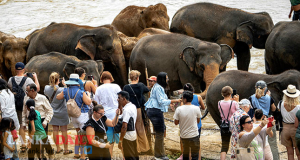 මේ වසර තුළ සංචාරකයන් 1,850,000 ක් ඇවිත්   