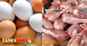 උත්සව සමයේදී කුකුළු මස් සහ බිත්තර මිළ පහළට