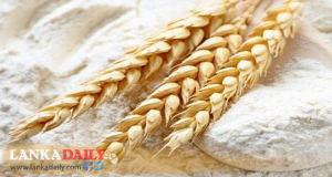 තිරිඟු පිටි මිලත් සමාගම් තීරණය කරයි. යළි රුපියල් 10 කින් ඉහළට