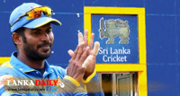 නව ක්‍රිකට් තේරීම් කමිටුව පත් කරයි