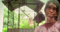 බළල් කුඩුවේ දිවි ගෙවන අම්මා (වීඩියෝ)