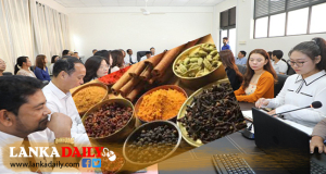 ලංකාවේ කුළුබඩු වල රස වැටුණු චීන වෙළෙද නියෝජිත පිරිසක් ලංකාවට
