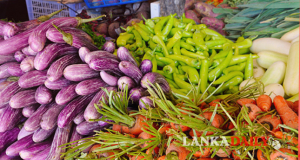 එළවළු හා පළතුරු මිළ පාලනයට රජයෙන් පියවර